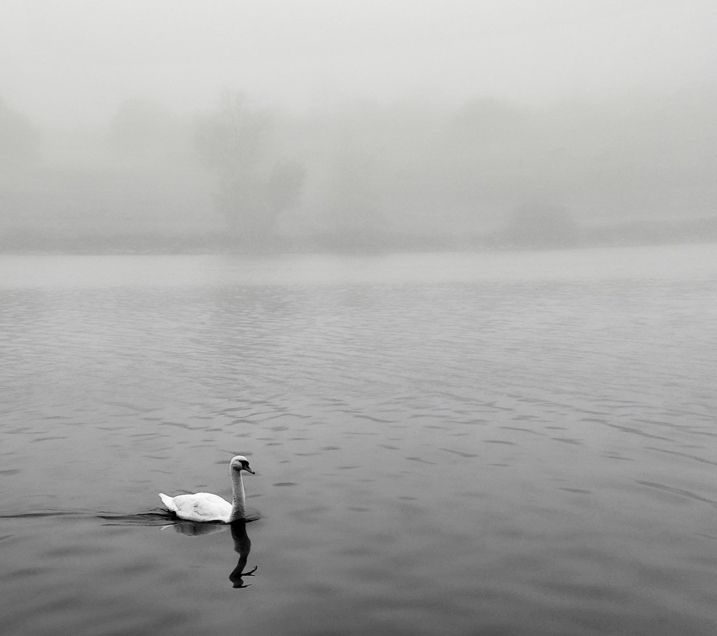 Thinking somewhere foggy