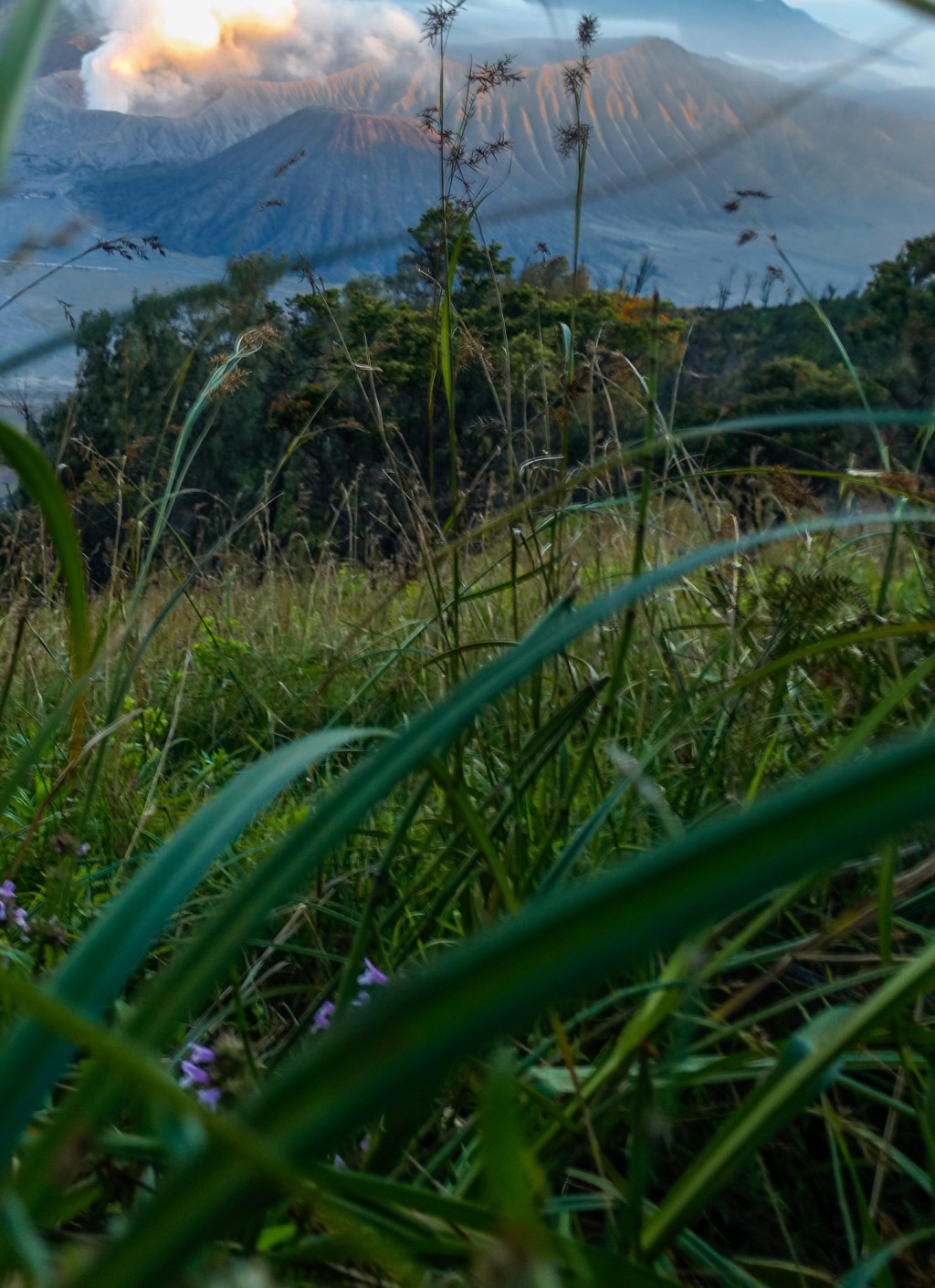 Trial with RX 100 III