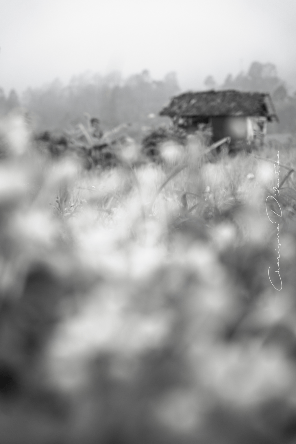 Straightforward affairs