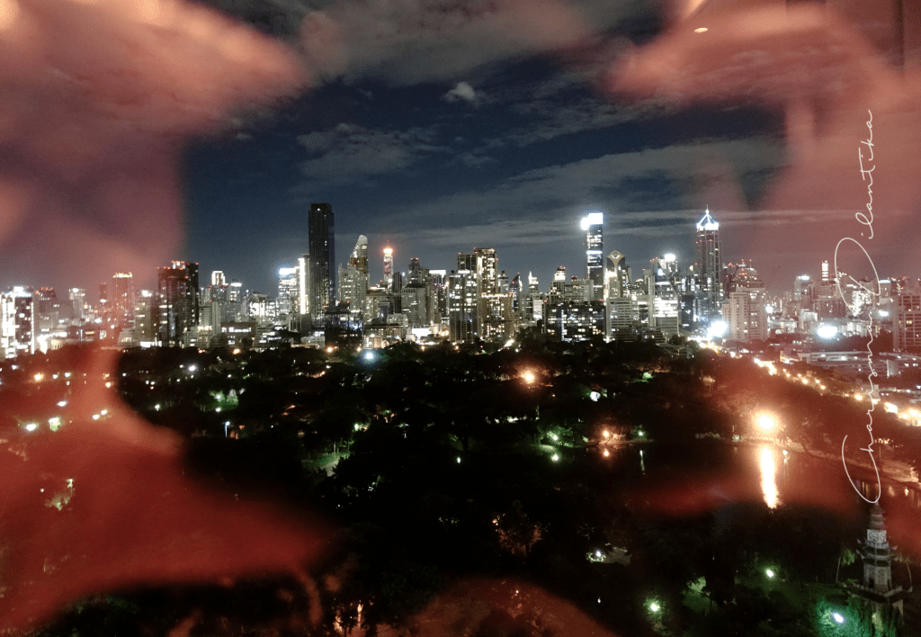 View from the&nbsp;hotel