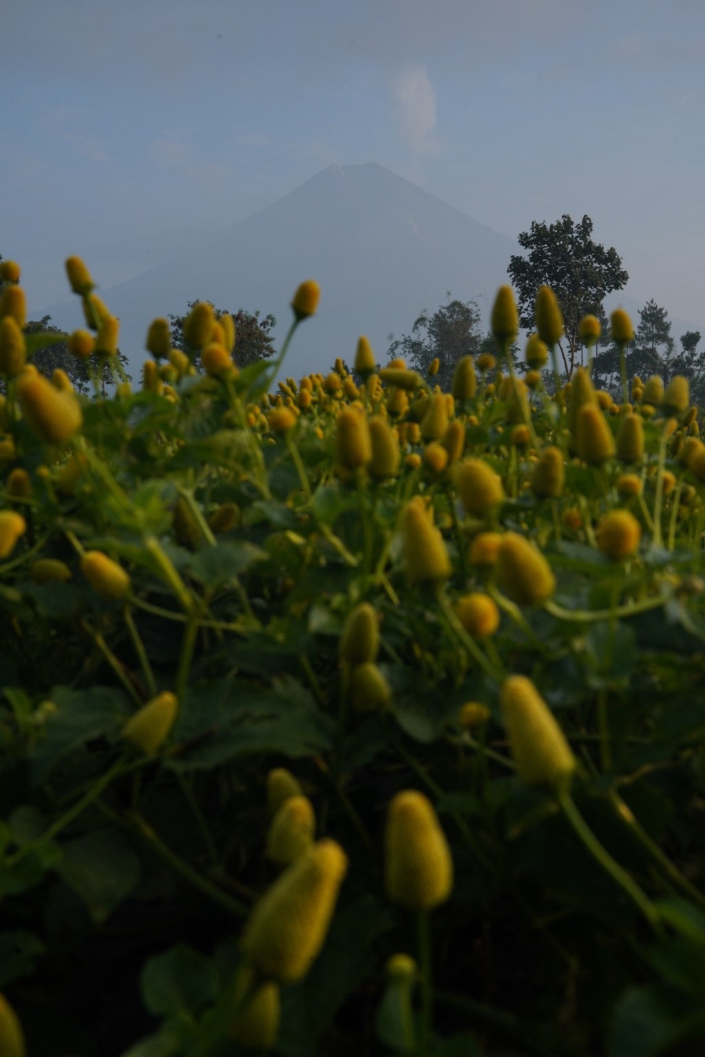 From raw to not&nbsp;raw