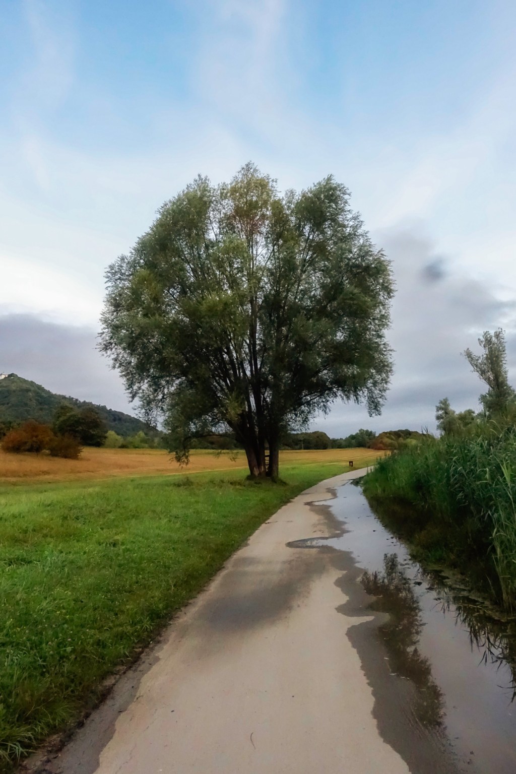 Same place, different&nbsp;season