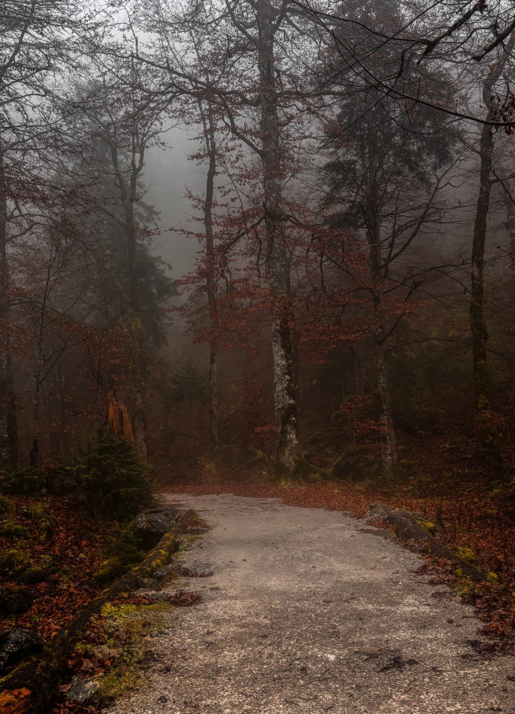 The wanderers along the Gosausee (Day&nbsp;2)