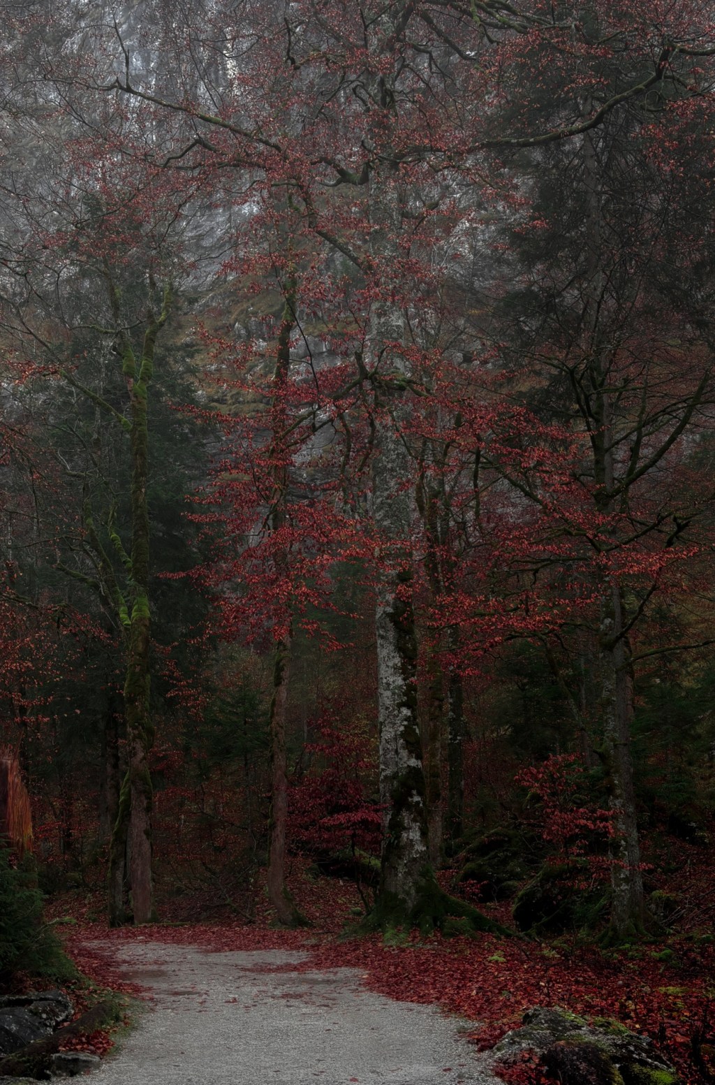 What can you do better?