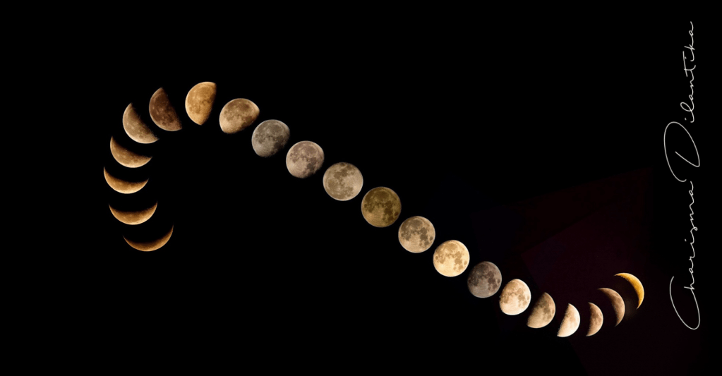 A long time love&nbsp;affair