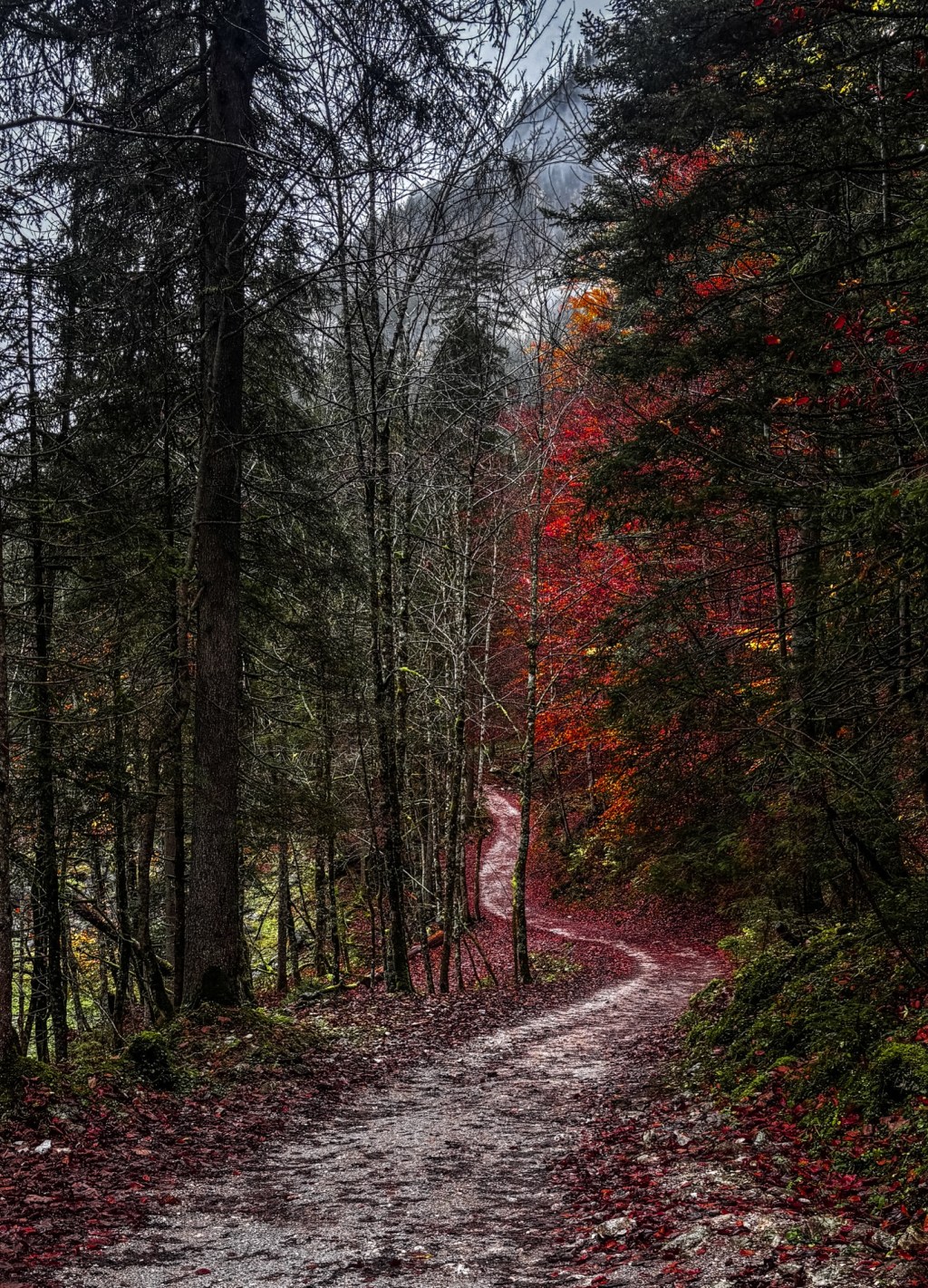 Some favourite captures from&nbsp;2025