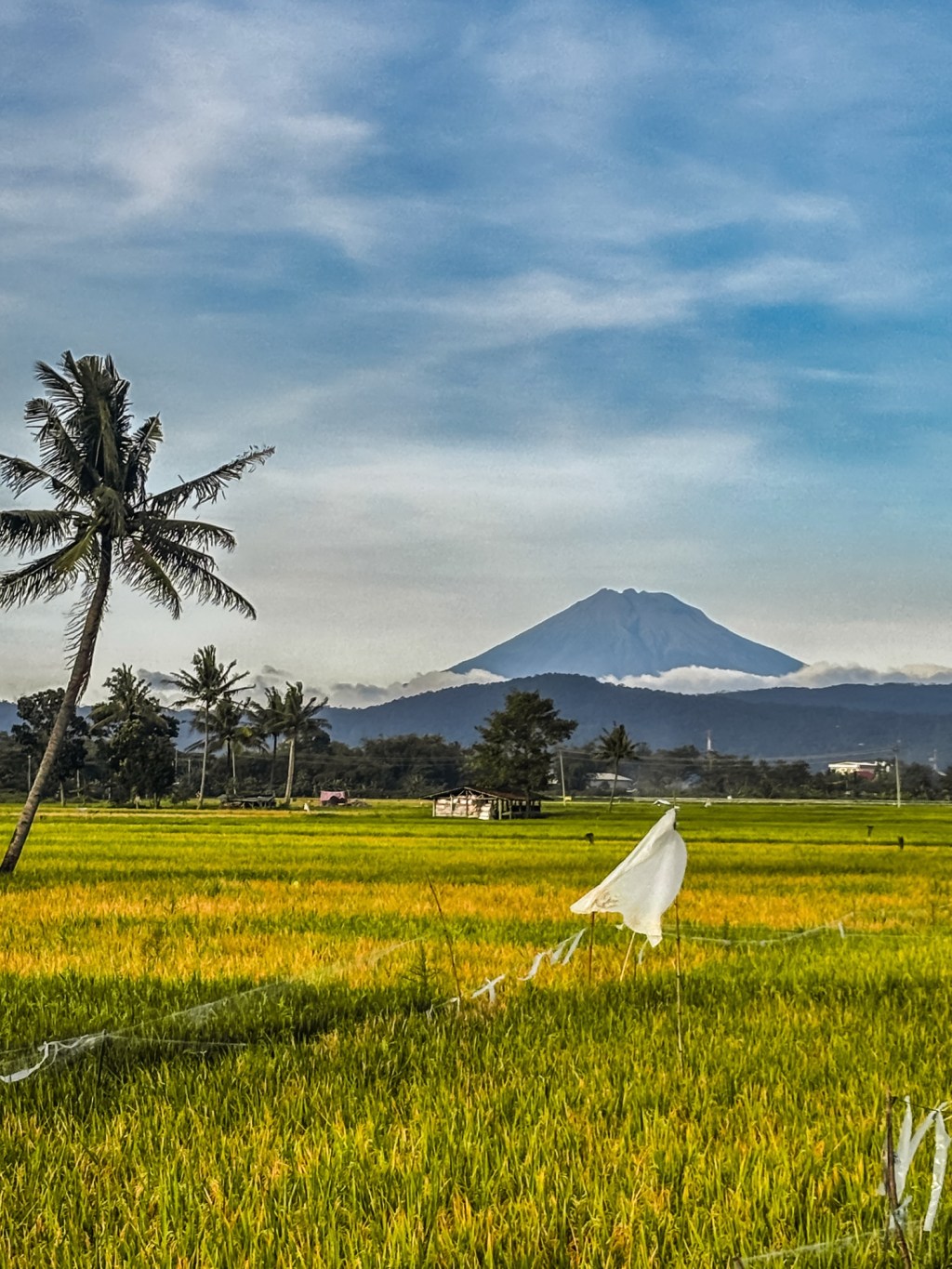 Toko Emas Photo&nbsp;Trip