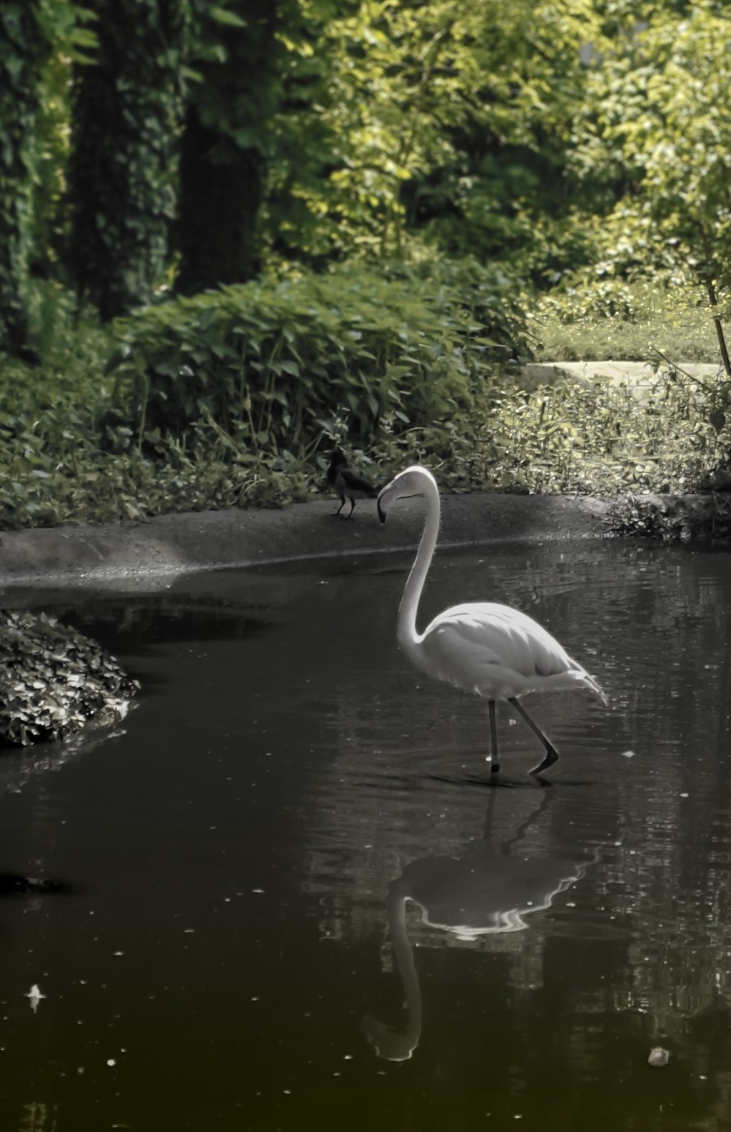 Nature in simplicity