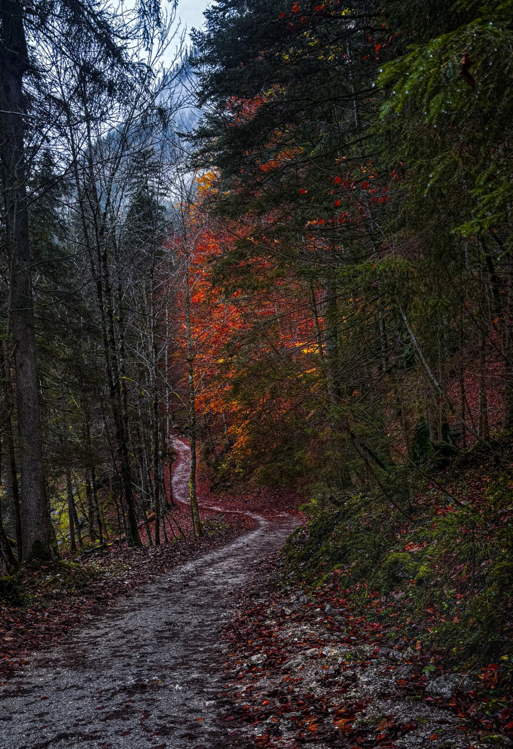 Autumn revisited