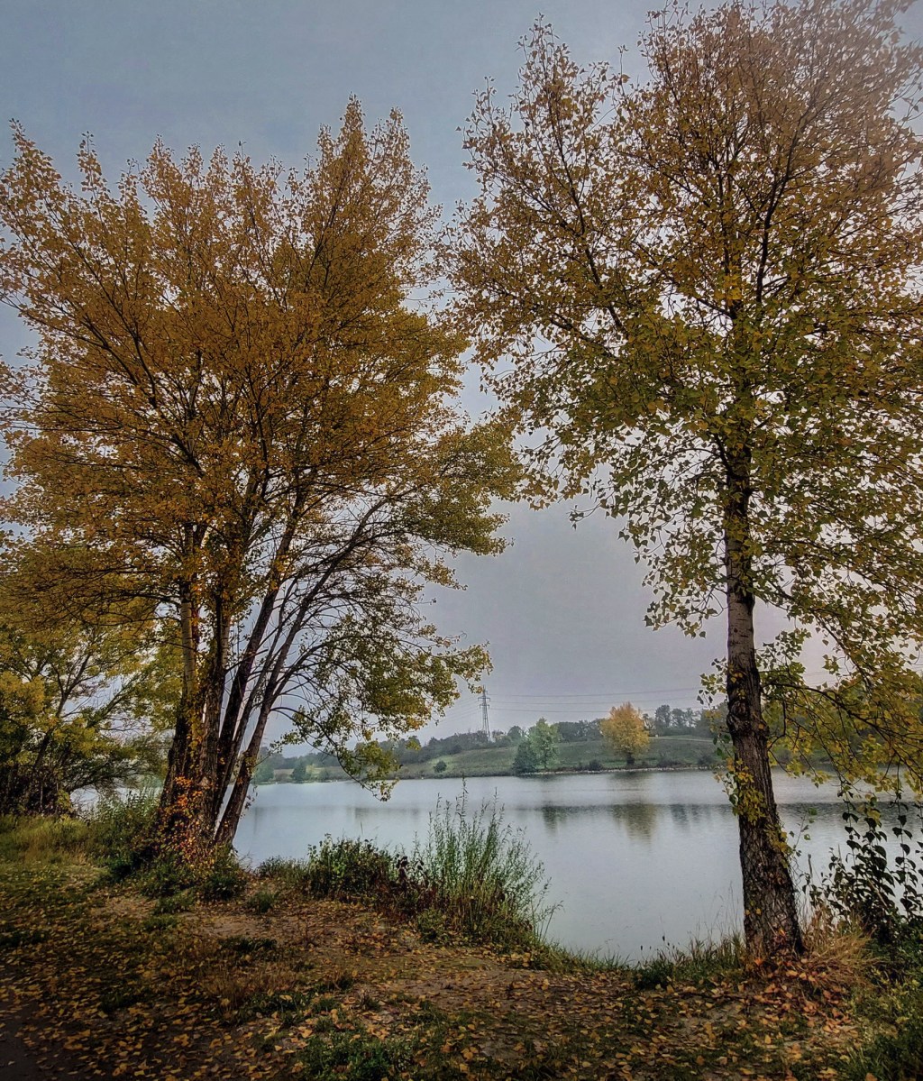 Here in autumn&nbsp;vibe