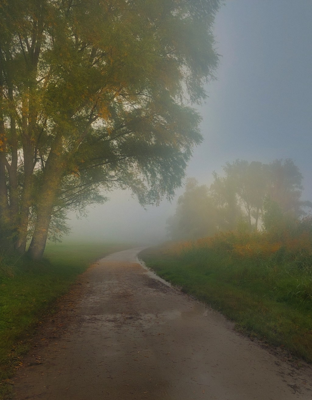Coming out of the&nbsp;dreams